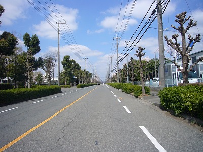 前面道路