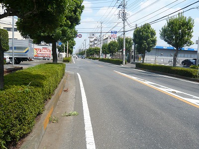 前面道路（東所沢中央通り）