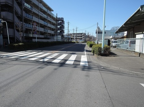 南側前面道路　和田遺跡通り