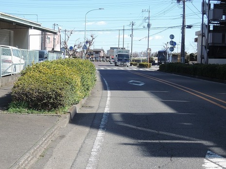 前面道路　和田遺跡通り