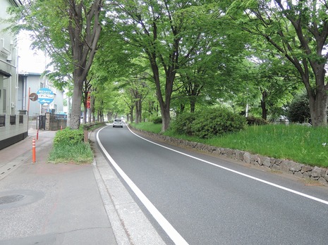 前面道路　国道245号（川越街道）