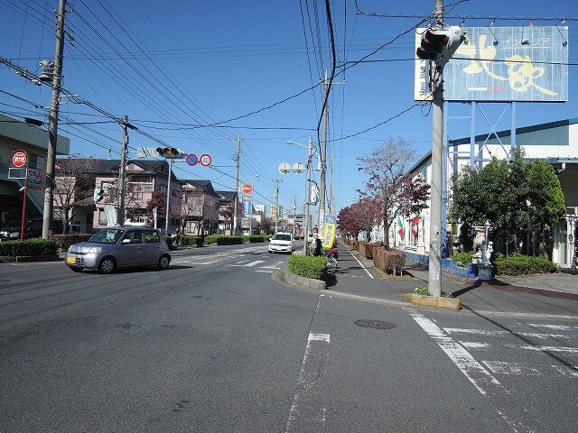 西側道路（けやき通り）